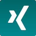 Manfred Schnürle bei XING